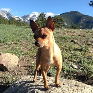 Meet your Posher, Araceli